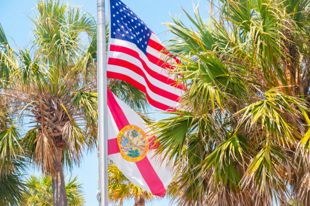 American Flag and Florida Flag waving between Palm Trees. Saint Petersburg Beach, Florida, USA.