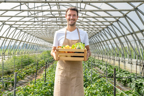 istock Smiling Greenhouse Worker With Fresh Produce 2178147249