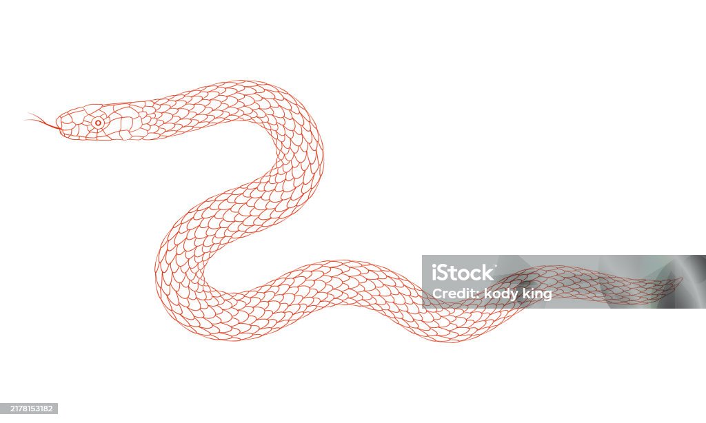 Vector Snake Simple A Simple Cartoon Snake Pattern Stock Illustration - Download Image Now ...