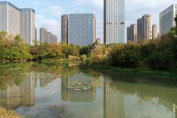 Lakeside modern office building in China