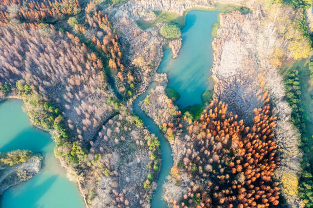 istock Aerial view, forests and lakes 2178160105