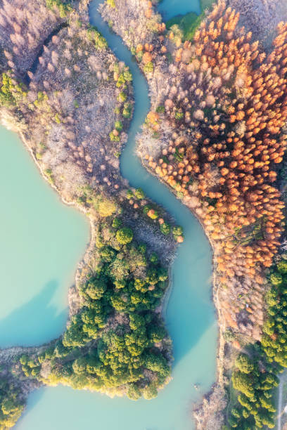 istock Aerial view, forests and lakes 2178160119
