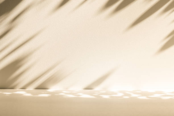 istock Studio style background wall decoration presentation uses white and beige tones. with shadows cast from a nearby window, concept creating a decorative 2178166157