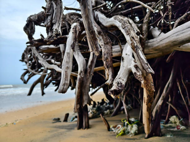 “Ein gewaltiger Sturm braut sich am Strand von Dänemark zusammen, während die letzten Strahlen des Sonnenuntergangs den Himmel in dramatische Farben tauchen. Die Wellen schlagen heftig gegen den Strand, und der Wind wirbelt den Sand auf. Der Kontrast zwischen dem stürmischen Meer und dem sanften, goldenen Licht des Sonnenuntergangs schafft eine eindrucksvolle und kraftvolle Atmosphäre.”