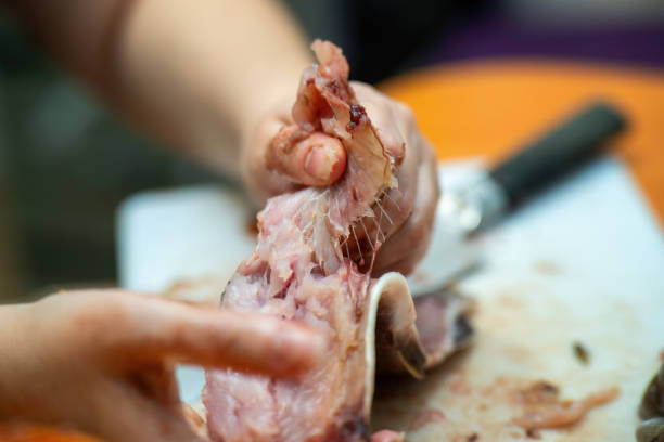 istock delicate process of hand-filleting a fish for cooking, highlighting the connection between nature and culinary art. The intricate movements reflect skill and tradition in cuisine 2178168089