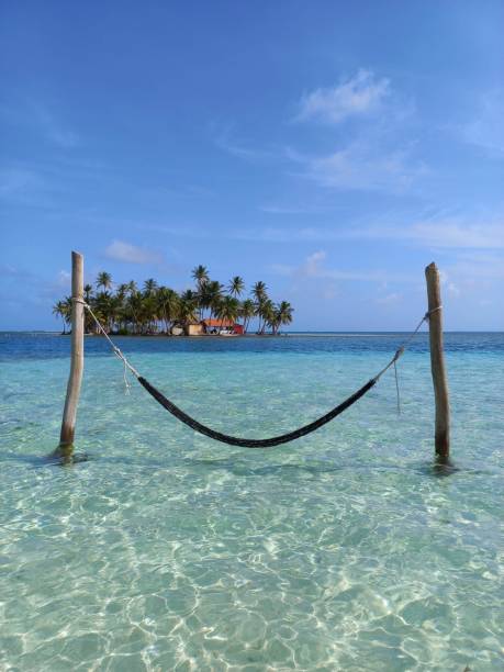 A hammock placed in crystal clear water with a tropical island with palm trees in the background.