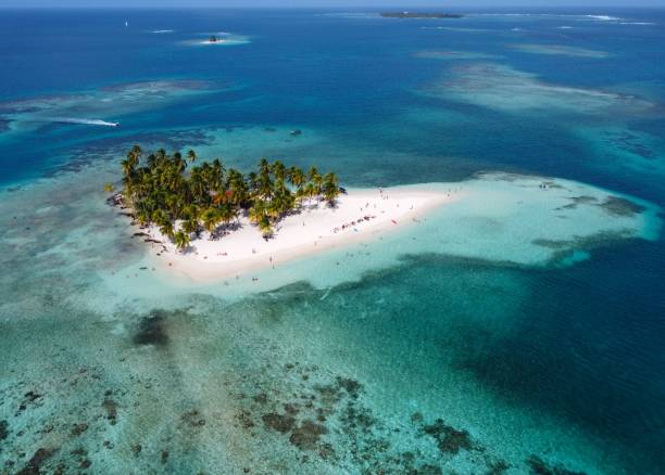 istock An Idyllic Tropical Island With Palm Trees and White Sand 2178173699