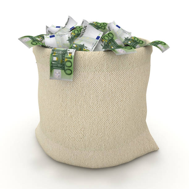 Euro money bag finance sack