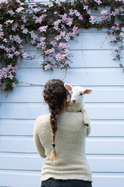 Girl in a light sweeter holding a little lamb against a light blue wall and a beautiful plant with pink flowers.