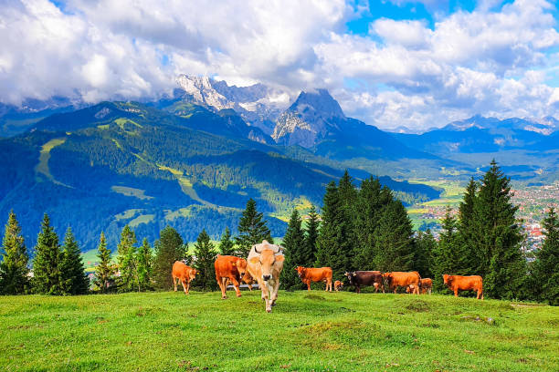 istock Garmisch-partenkirchen town aerial panoramic view, Germany 2178176341