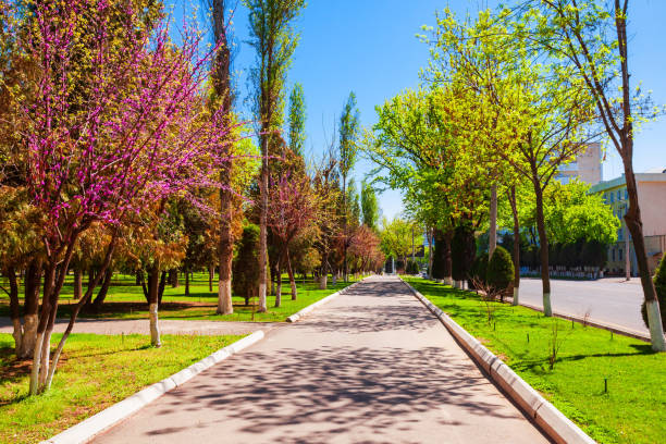 Beauty pedestrian road along Amir Timur Avenue in Tashkent, Uzbekistan in spring