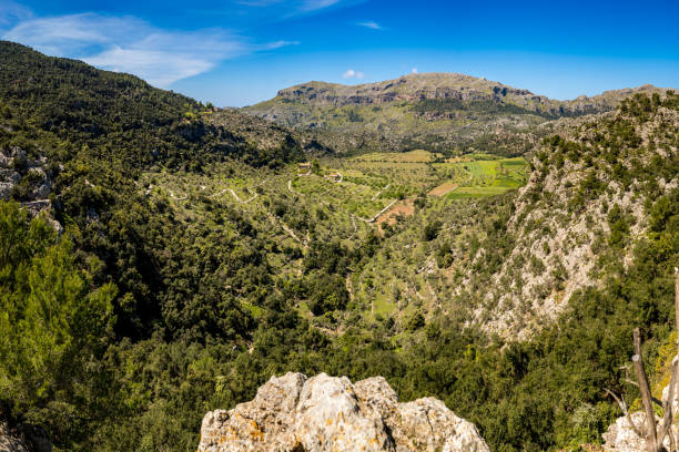 Beautiful view of the snowy mountains behind the small village Santa Maria del camí with vine plants in the foreground. Part of a series.