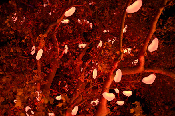 istock Illuminated tree with heart shaped lights at night in Vienna 2178180917
