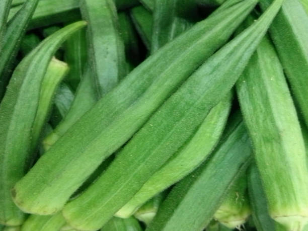 Okra or Abelmoschus esculentus  fruit