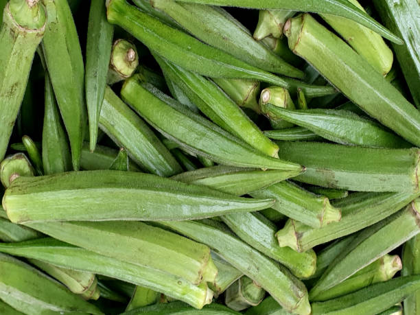 istock Okra or Abelmoschus esculentus  fruit 2178181645