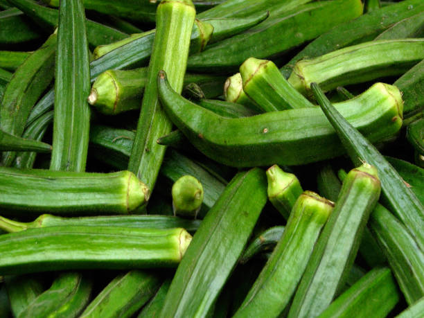 istock Okra or Abelmoschus esculentus  fruit 2178182070
