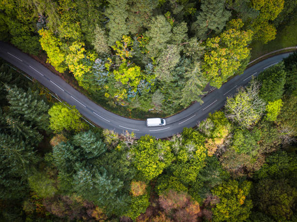 White delivery van driving on scenic winding road through forest