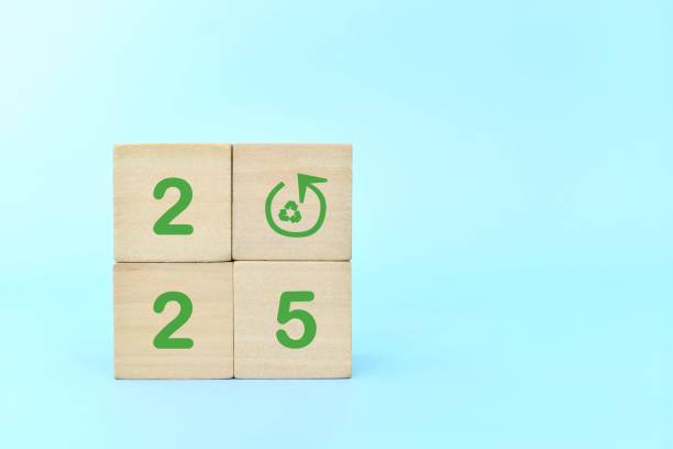 istock Year 2025 sustainability goal and sustainable development target concept. Wooden blocks with ecological environment icon. 2178187284