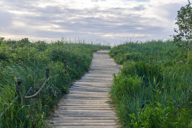 Indiana Dunes National Park, USA.