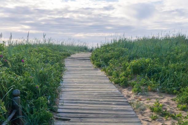 istock wooden boardwalk on coastal nature trail among sand dunes 2178188280