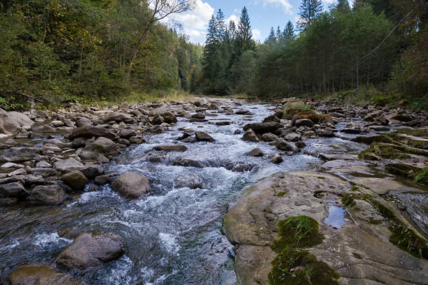 istock Mountain river with forest on banks in autumn overcast day 2178190889