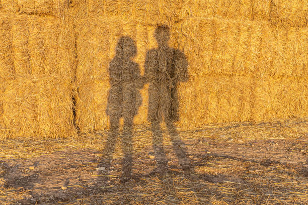 A Beautiful horizontal texture of dry yellow and orange rectangular haystacks with shadows of a man and a woman