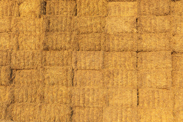 A Beautiful horizontal texture of dry yellow and orange rectangular hay bales