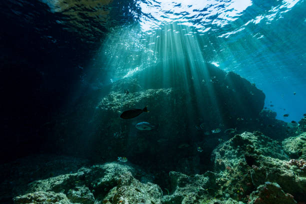 istock Beautiful Sunlight on Remote Tropical Reef, Triton Bay, Indonesia 2178194104