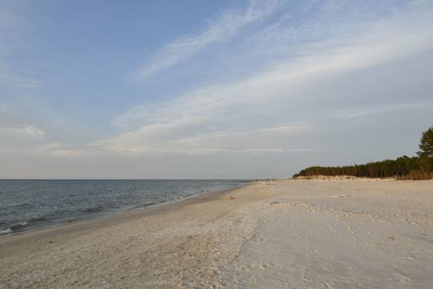 istock Serene sandy beach with gentle waves and clear blue sky. 2178201454