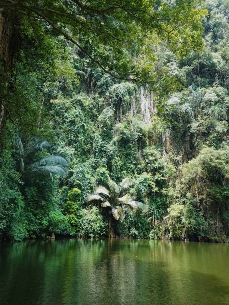 istock nature of Ipoh 2178202955