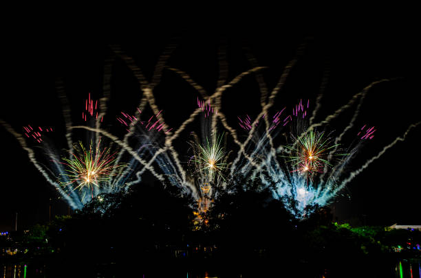Fireworks in the night sky
