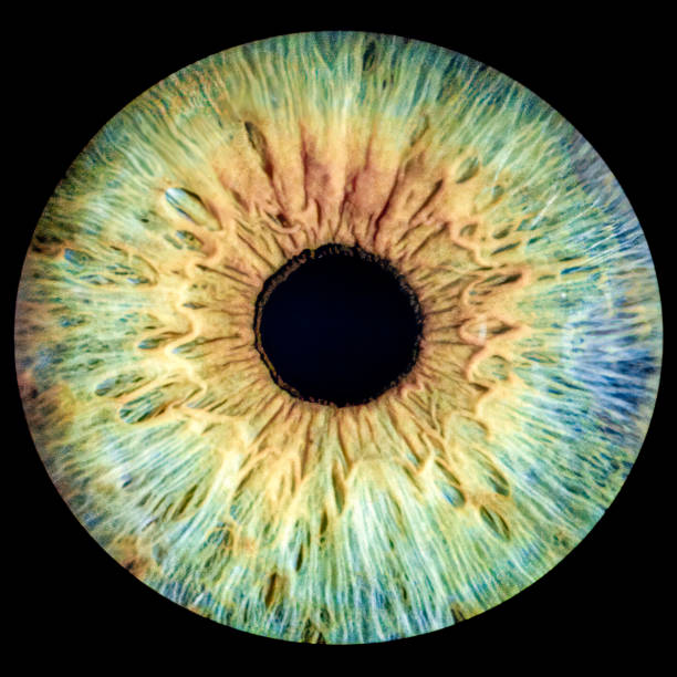 An incredibly mesmerizing abstract representation of an eye, featuring vivid colors and intricate patterns in detail