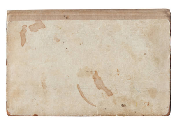 istock Vintage background of old ancient torn paper texture isolated 2178204207