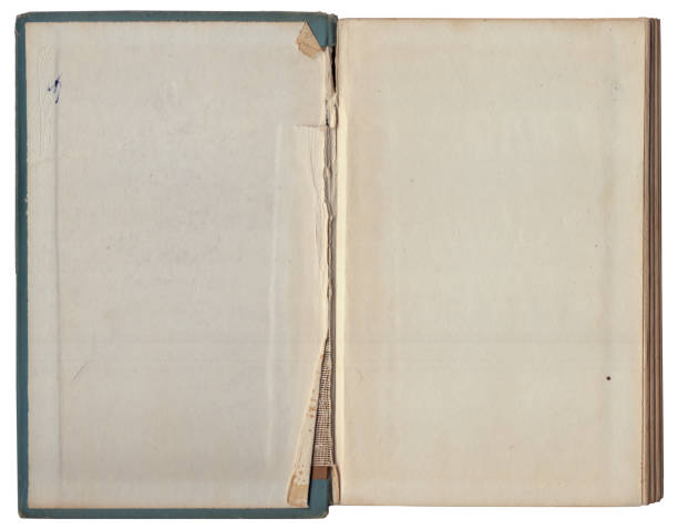 istock Vintage empty background of old book paper texture isolated 2178204258