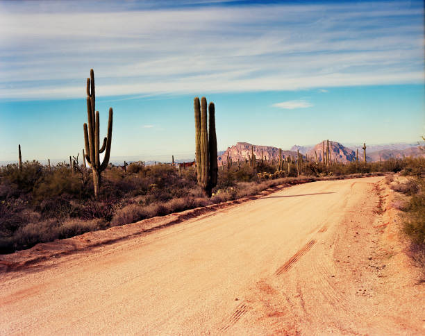 istock Film Image Sonora Desert Arizona 2178204391