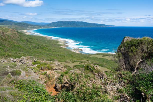 istock Scenic coastal landscape with lush greenery and vibrant blue ocean under a clear sky 2178209861