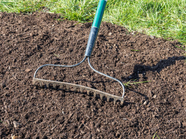 istock The front of a rake working with overseeding grass on lawn. 2178214186