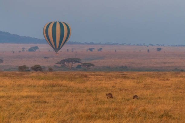 istock Early morning Balloon flight 2178214469