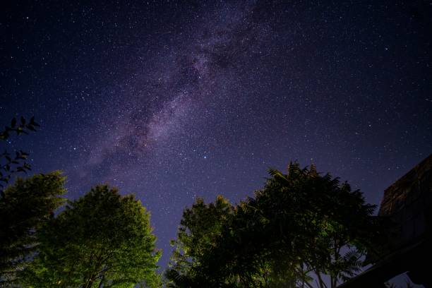 istock Milky Way Galaxy Above Trees 2178218239