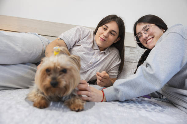 istock Sisters lying on bed petting a small yorkshire terrier dog. 2178220074