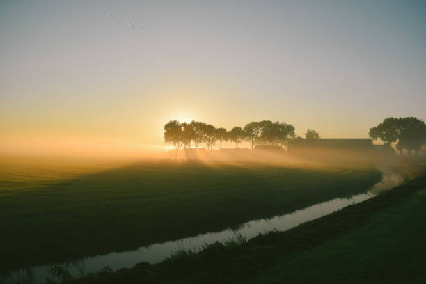 an autumnal morning in the dutch countryside. The misty fields of the countryside are slowly lit by the Sun rays through the trees