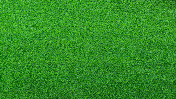 istock Green grass background, top view background of garden bright grass concept used for making green backdrop 2178220708
