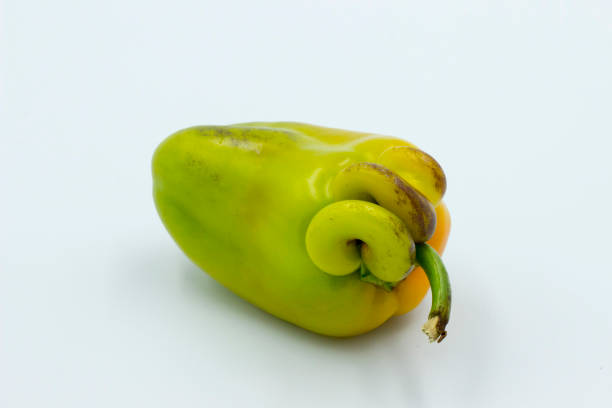 Green chilli pepper isolated on white background.