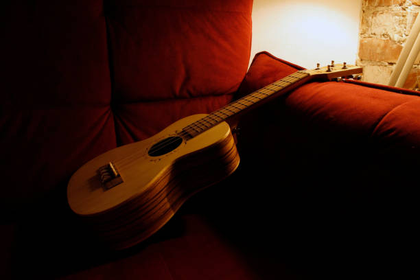 istock ukulele on a red armchair 2178227826