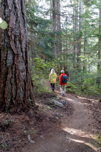 istock Mature couple walk through old growth forest 2178229319