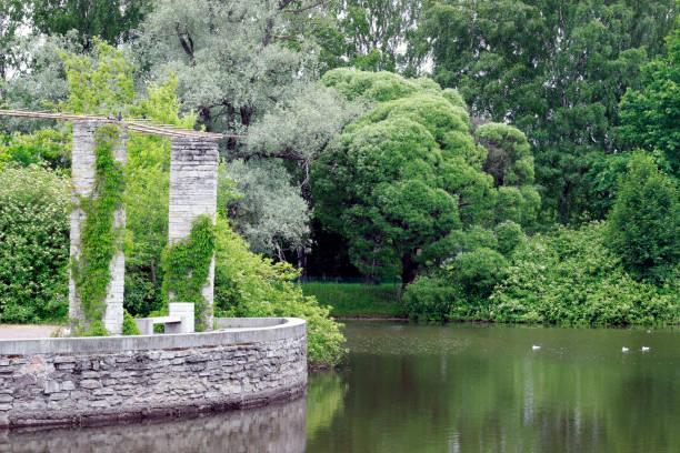 istock Lake in the summer forest 2178230782