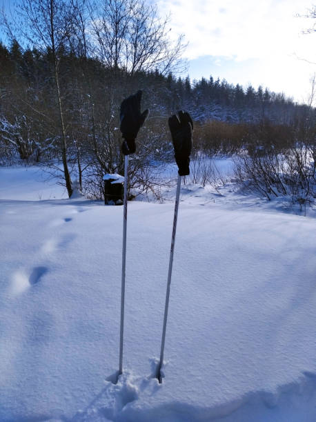istock ski trip in the winter forest 2178231442