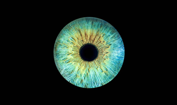 istock A Vibrant Abstract Eye Design with a Beautiful Colorful Texture that captivates imagination, iris 2178232104