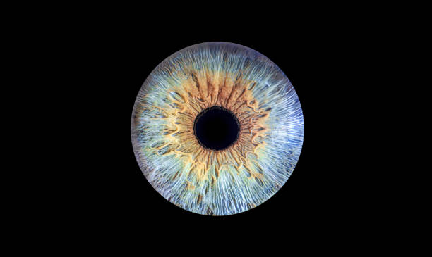 istock A Vibrant Abstract Eye Design with a Beautiful Colorful Texture that captivates imagination, iris 2178232124