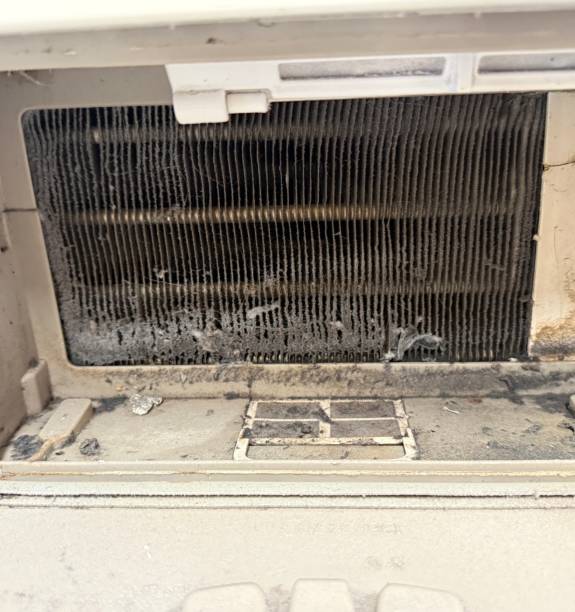 istock Cleaning a Dirty Dryer Condenser 2178232232